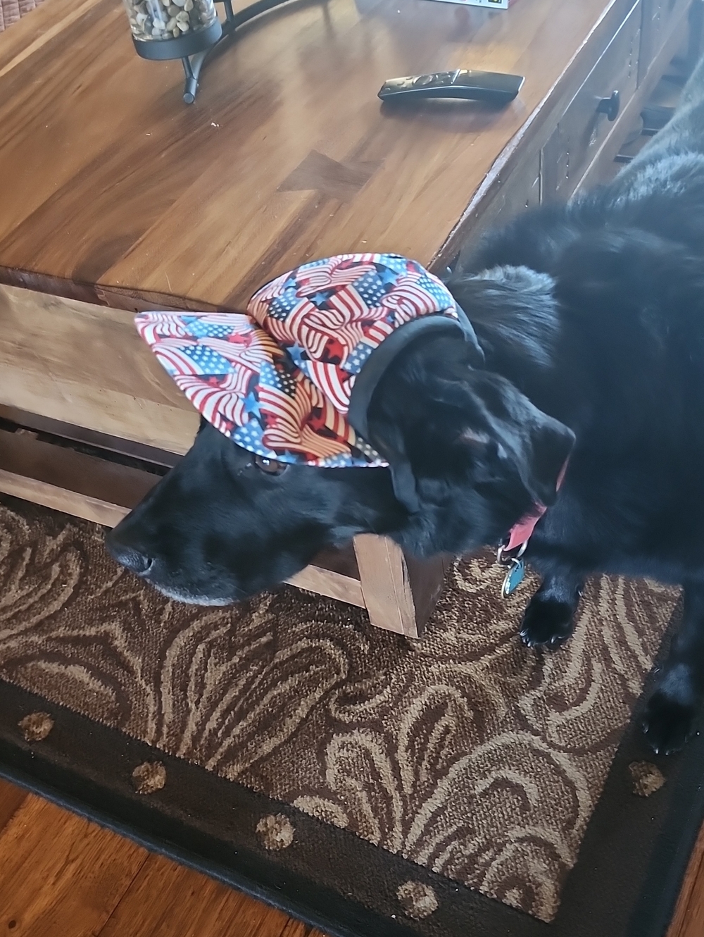 American Flag Dog Hat - NWOT